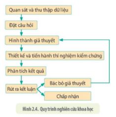 Giải Sinh 10 Bài 2: Phương pháp nghiên cứu và học tập môn Sinh học KNTT