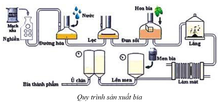 Giải Sinh 10 Bài 23