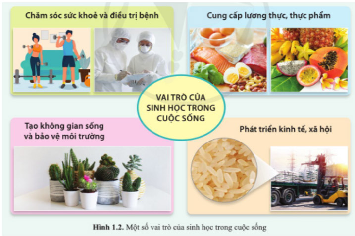 Giải Sinh 10 Bài 1