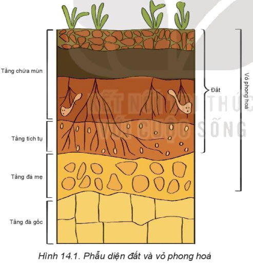 Dựa vào hình 14.1 và thông tin trong mục 1, hãy Trình bày khái niệm về đất