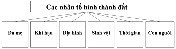 Vẽ sơ đồ thể hiện các nhân tố hình thành đất