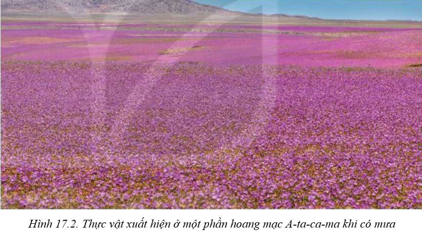 Đọc thông tin và hình 17.2 trong mục 2, hãy trình bày khái niệm