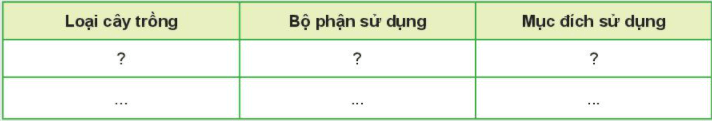 Công nghệ 7 KNTT