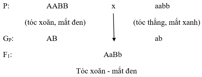 Giải Sinh 9 bài 5