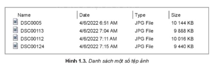 Giải Tin học 10 bài 1 KNTT