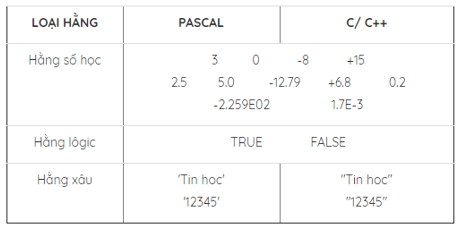 Giải Tin học 11 bài 2