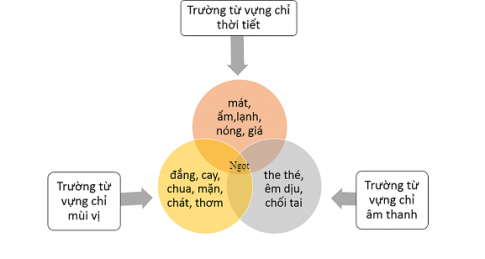 Soạn văn 8 Trong lòng mẹ