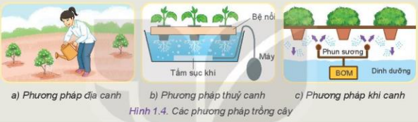 Giải Công nghệ 10 KNTT bài 1