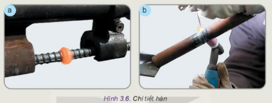 Giải Công nghệ 10 bài 3