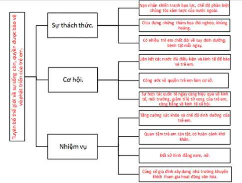 Sơ đồ tư duy Tuyên bố thế giới về sự sống còn, quyền được bảo vệ và phát triển của trẻ em