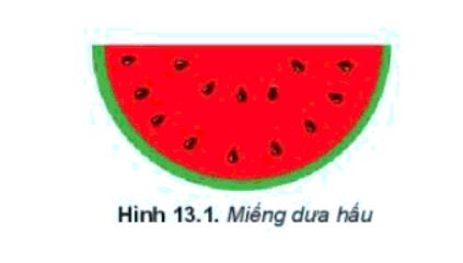 Tin học 10 bài 13 KNTT