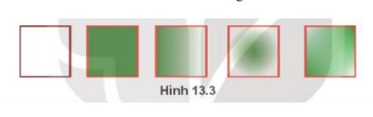 Tin học 10 bài 13 KNTT