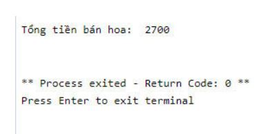 Soạn Tin 10 Bài 2 Cánh diều