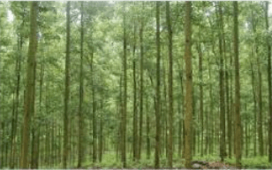 Đề thi học kì 1 lớp 7 môn Công nghệ