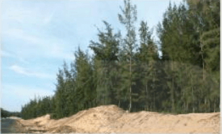 Đề thi học kì 1 lớp 7 môn Công nghệ