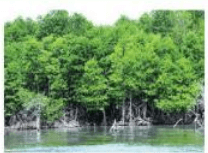 Đề thi học kì 1 lớp 7 môn Công nghệ