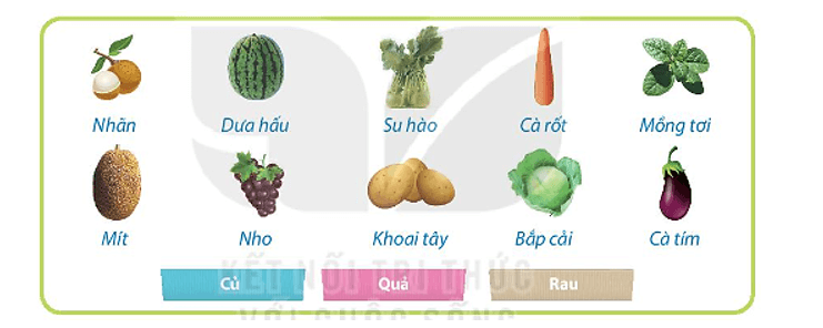 Đề thi Học kì 1 Tin học lớp 3 Kết nối tri thức có đáp án