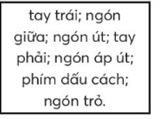 Đề thi Học kì 1 Tin học lớp 3 Chân trời sáng tạo có đáp án