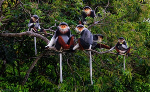 Đề thi học kì 1 Sinh 10