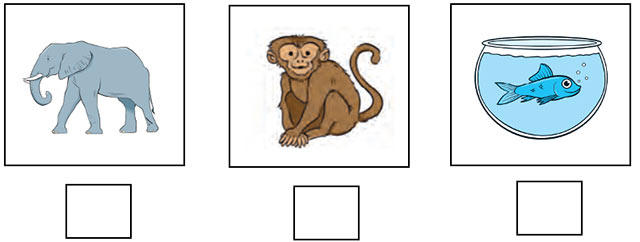 Đề thi học kì 1 môn Tiếng Anh 3