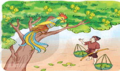 Đề thi học kì 1 lớp 2 môn Toán